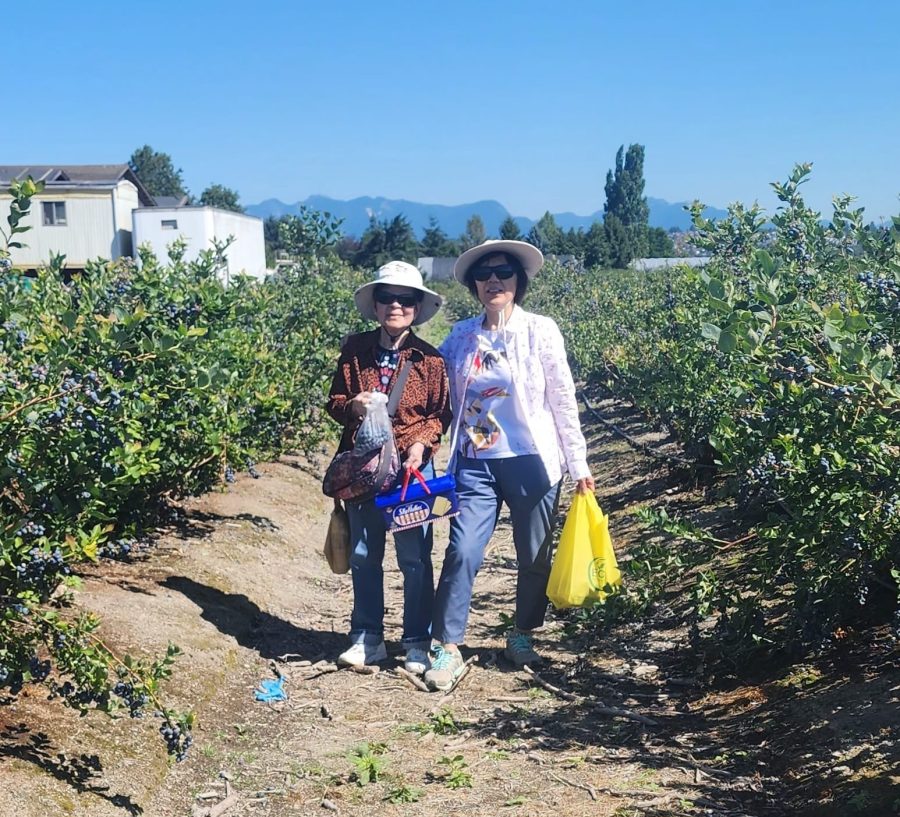 Caleb Fellowship members picking blueberries